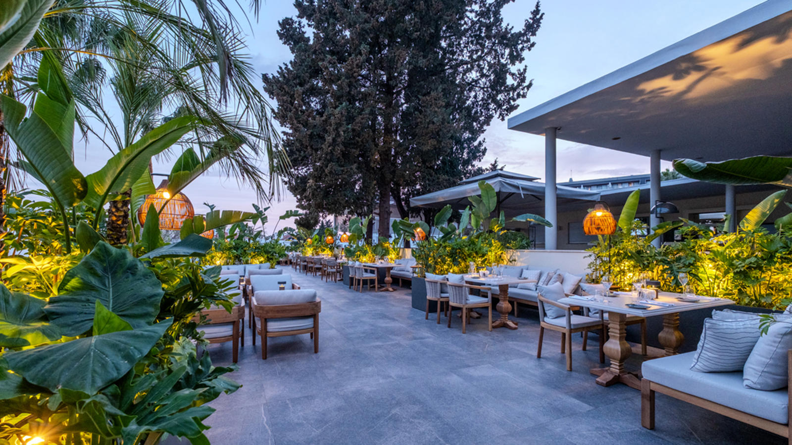 TUI BLUE Barut Andiz
